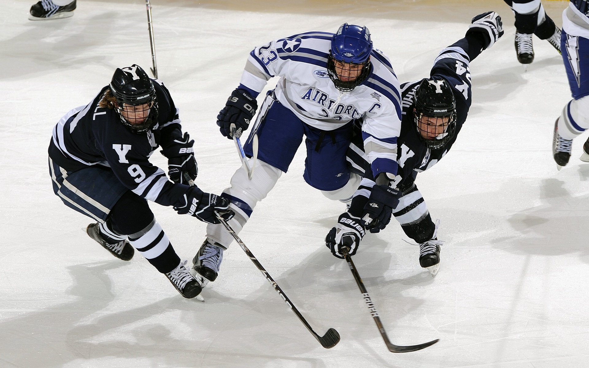 开云体育在线-新王登基，皮亚斯特里领衔威廉姆斯力克索伯，开启F1新纪元